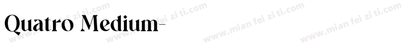Quatro Medium字体转换